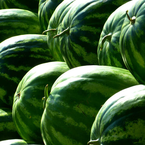 Aguamelon (spitt) (feat. Auxe)