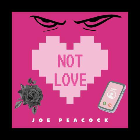 Not Love