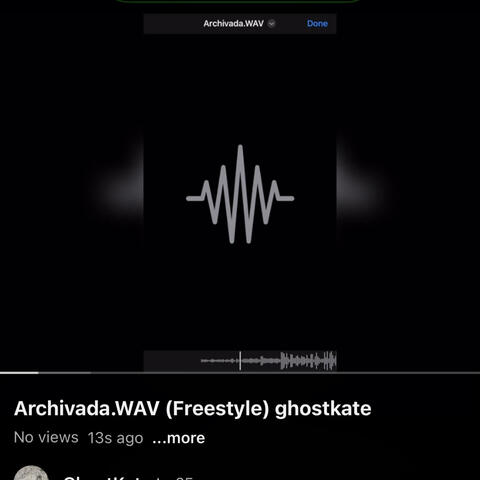 Archivada (Freestyle)