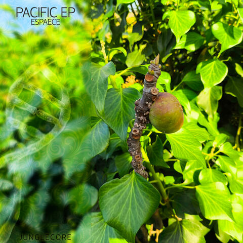 Pacific EP