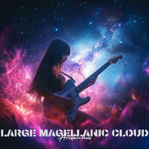 Large Magellanic Cloud