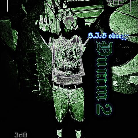 Dumm 2
