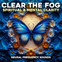 Clear the Fog
