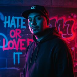 Hate It or Love It