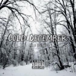 Cold December (feat. 2holyantt)