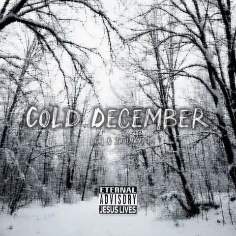 Cold December (feat. 2holyantt)