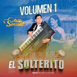 EL SOLTERITO (Volumen 1)