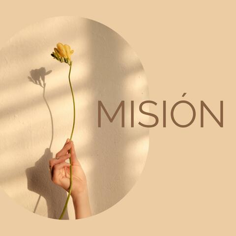 Mision