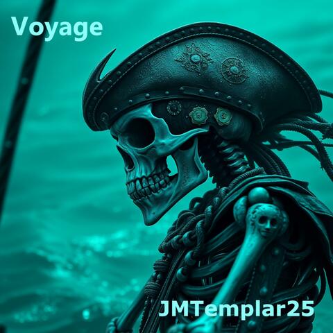 Voyage