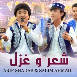 Sher o Ghazal (Arif Shadab & Salim Ahmadi) شعر و غزل