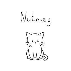 Nutmeg