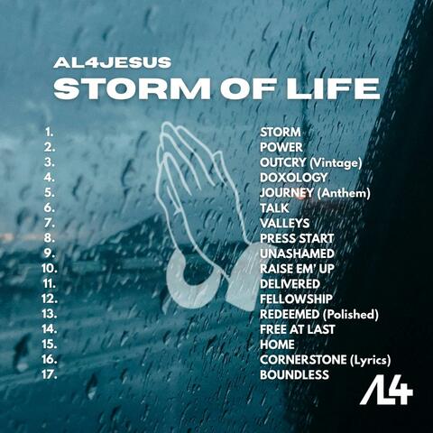 STORM OF LIFE