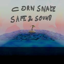 Safe & Sound