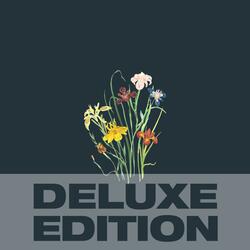 Untitled (2025 Remaster)