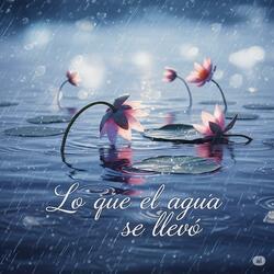 Lo que el Agua se Llevo