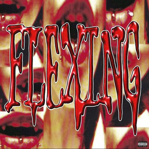 Flexing (feat. strainz & Xhulooo)