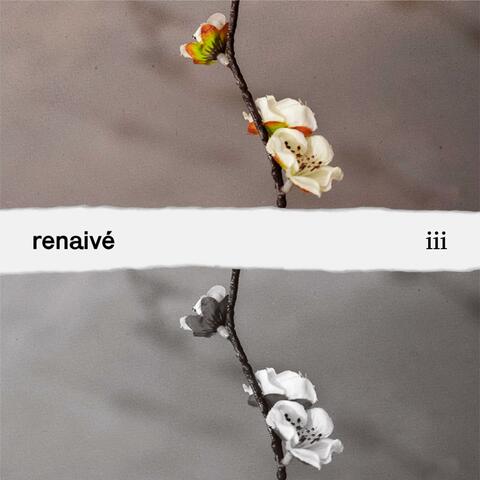 iii