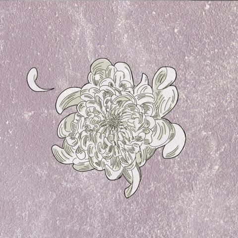 A Quiet Bloom In Reverse