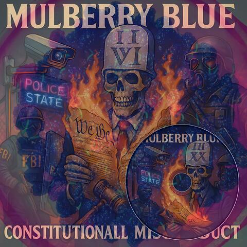 ConstitutionALL Misconduct