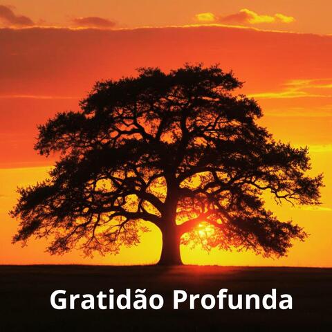 Gratidão Profunda