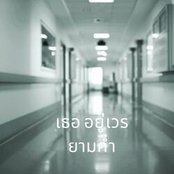 เธออยู่เวรยามค่ำ