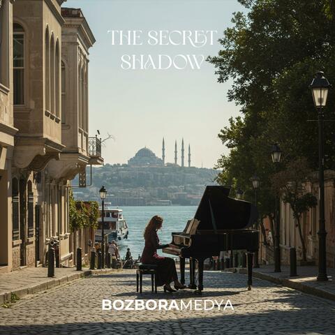 The Secret Shadow