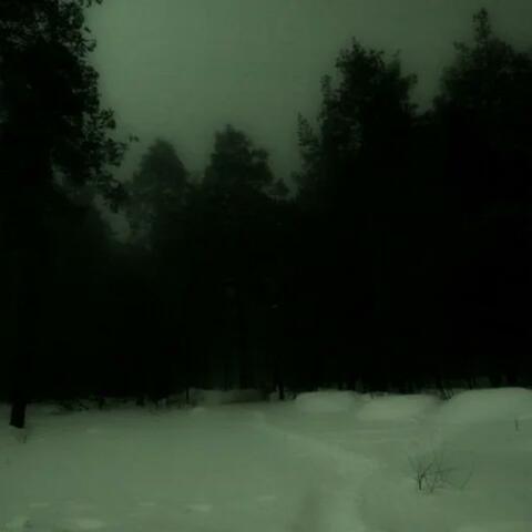 Cold Outside