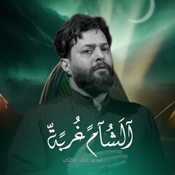 الشام غربه | الرادود حسن خريبط (موكب غريب الغرباء)