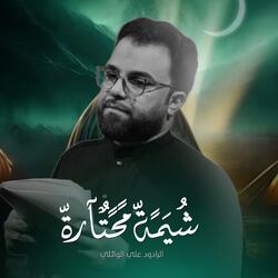 شيمه محتار | الرادود علي الوائلي (موكب غريب الغرباء)