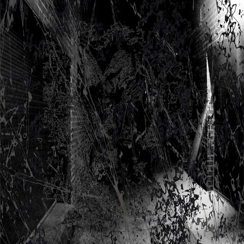 Insignificant Bodies