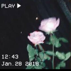 Aint you (feat. 1luhjunkie)