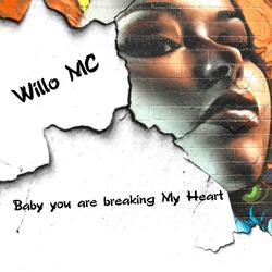 Baby you are breaking my heart