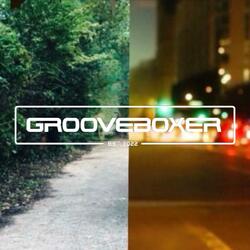 Diamondise (feat. Travis Glover & Digital Garden) (Radio Edit)
