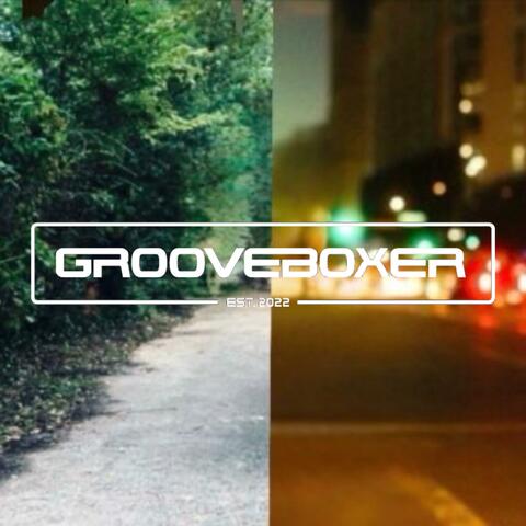 Diamondise (feat. Travis Glover & Digital Garden) [Radio Edit]