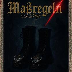 Maßregeln