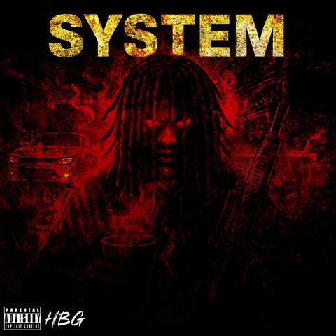 System