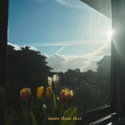 more than this
