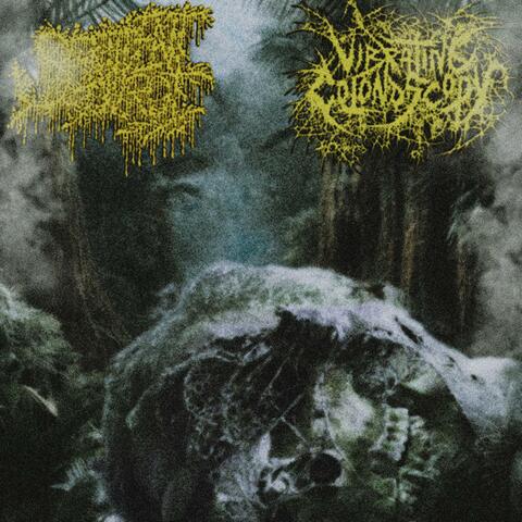 Decompository (Split)