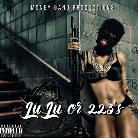 LuLu or 223's