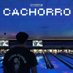 Cachorro