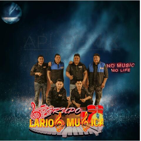 no me vuelvo a enamorar larios musical