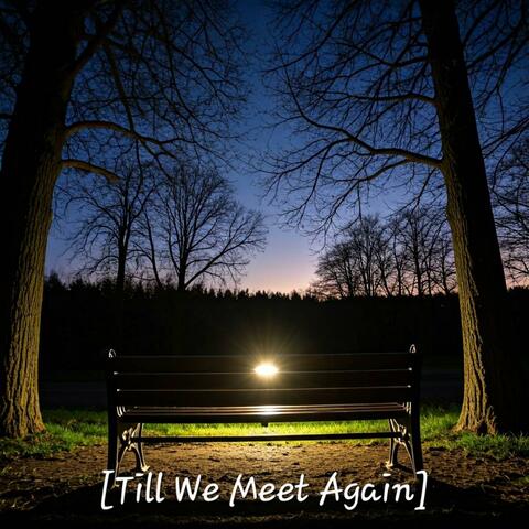 Till We Meet Again
