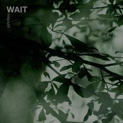 Wait