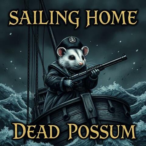 Sailing Home