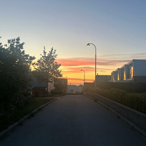 Fest hos Naboen