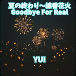 アイスが溶けた午後｜Missing You Deeply