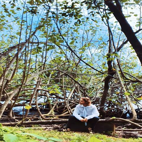 lost in the forest