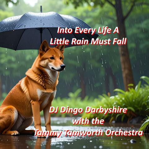 Into Every Life A Little Rain Must Fall