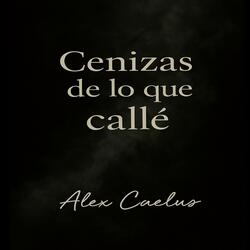 Cenizas de lo que callé