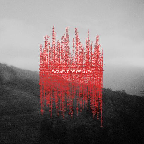 figment of reality